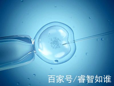 供卵试管选性别代生咨询